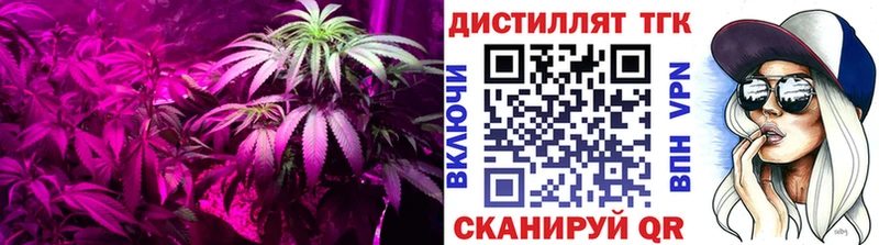 кракен   Дорогобуж  Дистиллят ТГК гашишное масло  darknet телеграм  купить закладку 