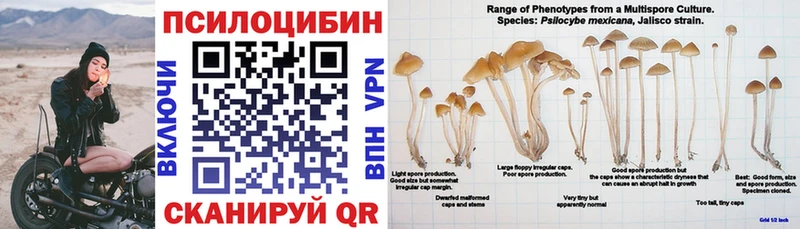 Галлюциногенные грибы Psilocybine cubensis  Дорогобуж 